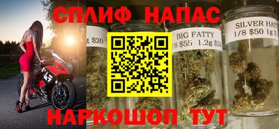 прущие грибы Гагарин