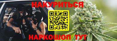 a pvp Гатчина
