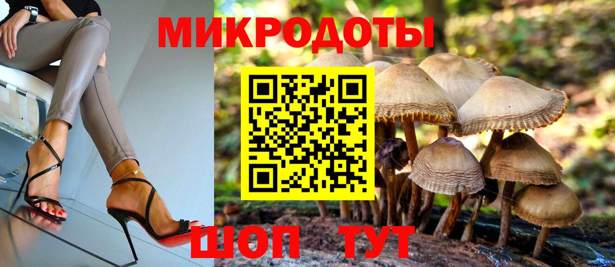 Галлюциногенные грибы Psilocybine cubensis Минеральные Воды