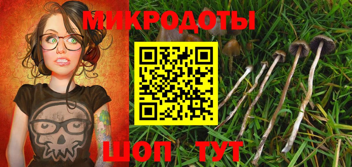 Галлюциногенные грибы GOLDEN TEACHER  Галлюциногенные грибы мухоморы  Вход с VPN  Минеральные Воды 